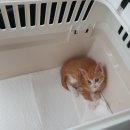 학익동물병원 이미지