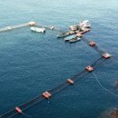 주광현 카카오 검색결과