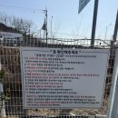 월평지 | 화성 애견 카페 댕코리아 주말 나들이 후기