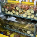 더블유스파펜션 이미지