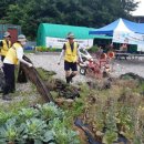 짱구2농장 이미지