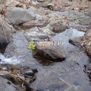 동남농장4 이미지