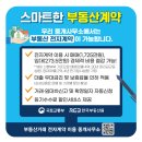 올바른부동산공인중개사사무소 이미지