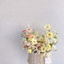 사림동120 이미지