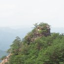 불영계곡 Daum카페