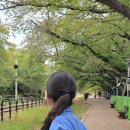 라이앤미 이미지