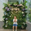 주말 나들이 서울식물원 아이와 방문 후기