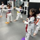 숲소리 유치원 이미지