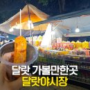 롯데리아고산점 | 베트남 달랏 야시장 후기 먹거리 추천 시간 기념품 쇼핑 과일 망고