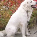 병운농장 이미지