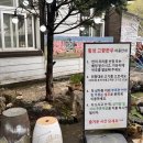 내고향횡성한우 | 원주 소금산 맛집 강아지랑 함께 소금산 나들이 후 방문한 횡성고향한우식당 후기