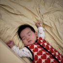 사라보래 이미지