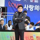 코리아1위인삼