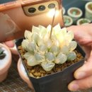 사환2길 이미지