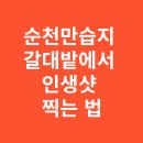 신성리갈대밭습지생태길 | 순천만습지 갈대밭에서 인생샷 찍는 법