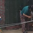 개ST하우스 이미지