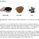 황군집 | Love me two times (10월 일상)