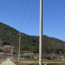 마마펫살롱 이미지