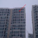 덕진-114 이미지