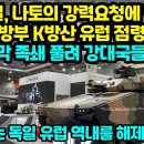 독일, 나토의 강력요청에 항복 K방산 유럽진출 대폭발 발판 마련 “EU 강대국들 더이상 방법없다” 이미지