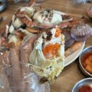 털보대게수산