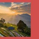 선인리무진 이미지