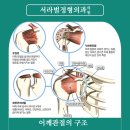 서라벌정형외과 이미지