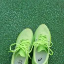 탑동365일의원 | 10/31 제주종합경기장 러닝 (11km LSD+3km TT). 노바블라스트 후기