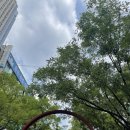 달콤 왕가 탕후루 범계점 이미지