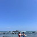 이제 경주 이미지