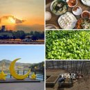 내고향한식 이미지