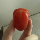 성암매점 | 3월 니가 엇덕게 나한테 이레에에에