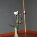 다도교실 이미지