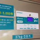 곰아쿠아