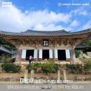 달마고도민박 이미지