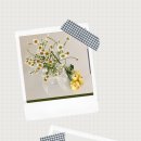 복 당구클럽 이미지