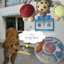 [부산/전포] 귀여운 클리커와 행운의 거북이 파는 곳 • ‘토이랩 팩토리 후기’(내돈내산) 🐢🍅