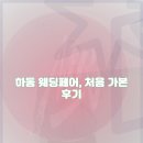 어느날, 하동 | 하동 웨딩페어 방문 후기와 리뷰