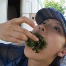 안성맞춤캠핑장 이미지