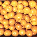 중앙로101번길 이미지