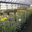 주산산업고등학교 이미지