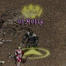 스킨필드