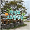 참돈오리 | 충남 태안 안면도 캠핑장 추천, '학암포오토캠핑장' 카라반 대여 예정까지!