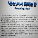 안성남사당공연장 이미지