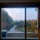 숲속의바다 바다동 이미지