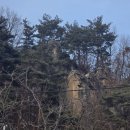 사인1리 이미지