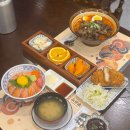 최고당돈가스 동해점 | 동해 묵호 찐맛집 묵호정! 퀄리티 미친 사케동 + 카라이규라멘 완벽조합!