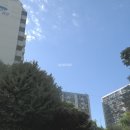 뉴삼성부동산공인중개사사무소 이미지