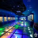 DMZ 평화의 길 34코스 이미지