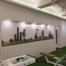 서울조경 피티샵인테리어, 나무장식, 플랜트월 네온사인, 헬스장인테리어, 인조 선인장 실내 조경...